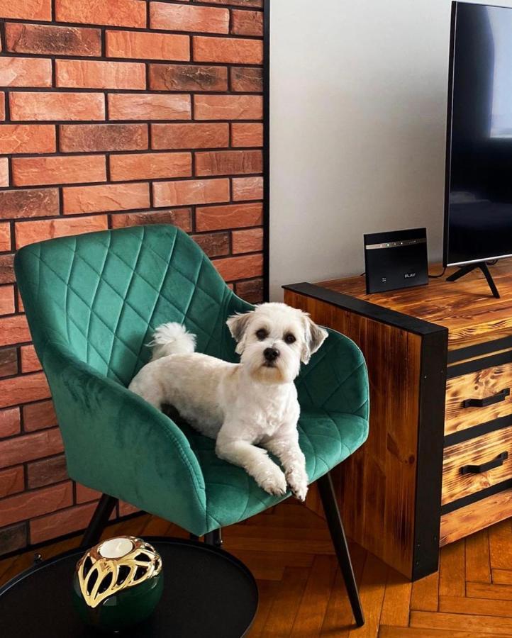 Apartament Loft Apartment บีเอสโก-เบียวา ภายนอก รูปภาพ